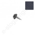 Savisriegiai į skardą TORX TX-20 4,8x20 mm T.Pilki (RAL 7016) prie Budmat, 250 vnt